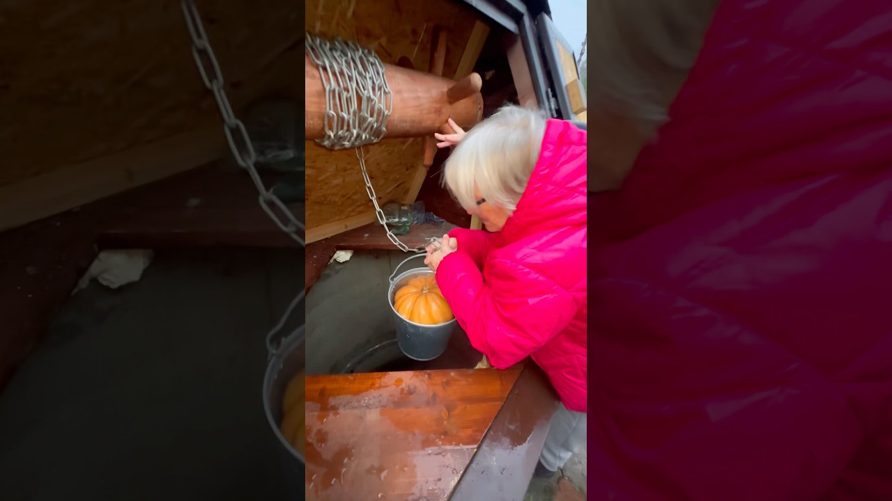 Выловили двухлетнюю тыкву из колодца..🫢🪣🎃