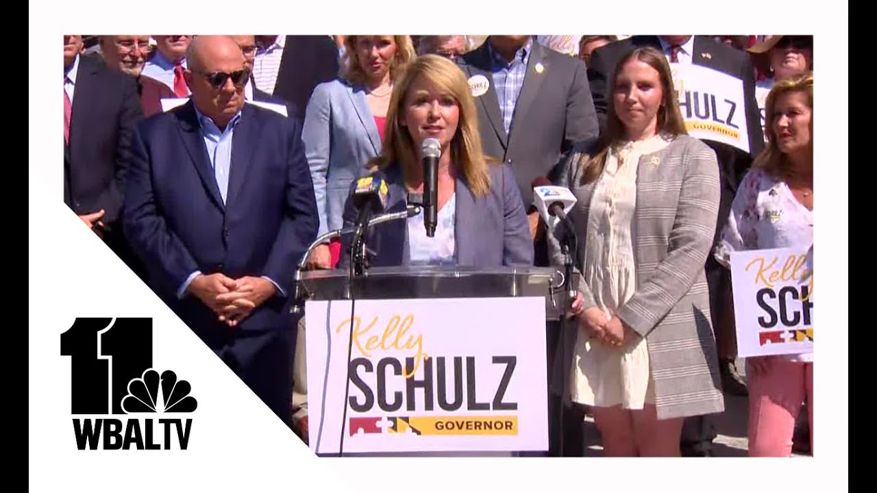 Schulz: Dems meddling in Republican gubernatorial primary race