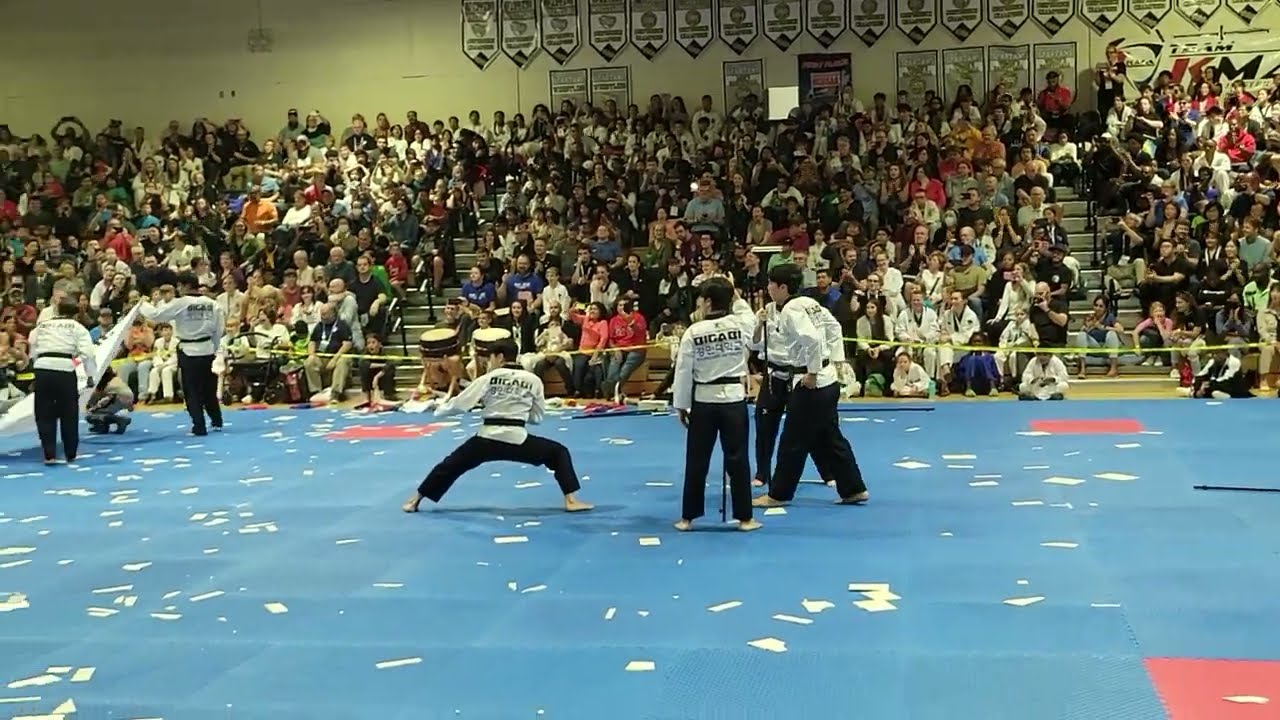 Taekwondo Demo Part 2/2 by Taekwondo Diplomacy Corp from South Korea