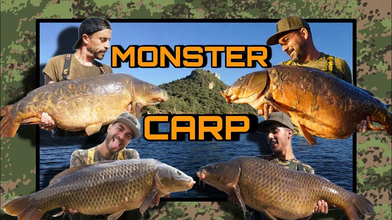 CARPFISHING MONSTER CARP Orellana Summer