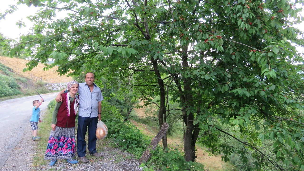 İnebolu köy turu