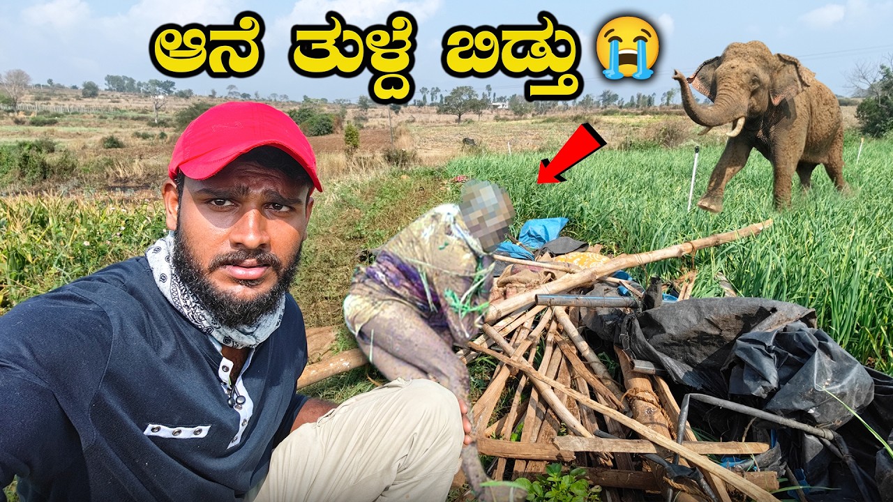 ದೊಡ್ಡ ಜಗಳ ಆಗೋಯ್ತು😡 | Elephant Attack Farmer | Avatar Shiva Vlogs