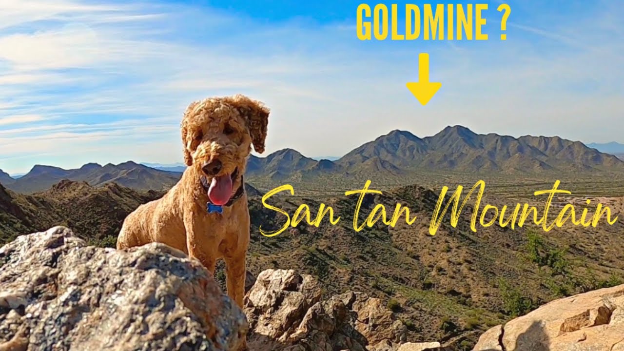 Solo Hiking in Arizona - The Dynamite and Goldmine Trail Loop - with my DOG