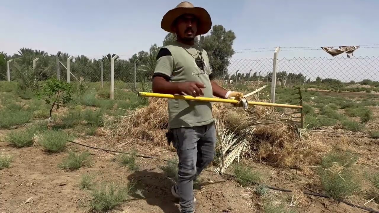 حرق ارض المزرعة لتخلص من النباتات الضارة 