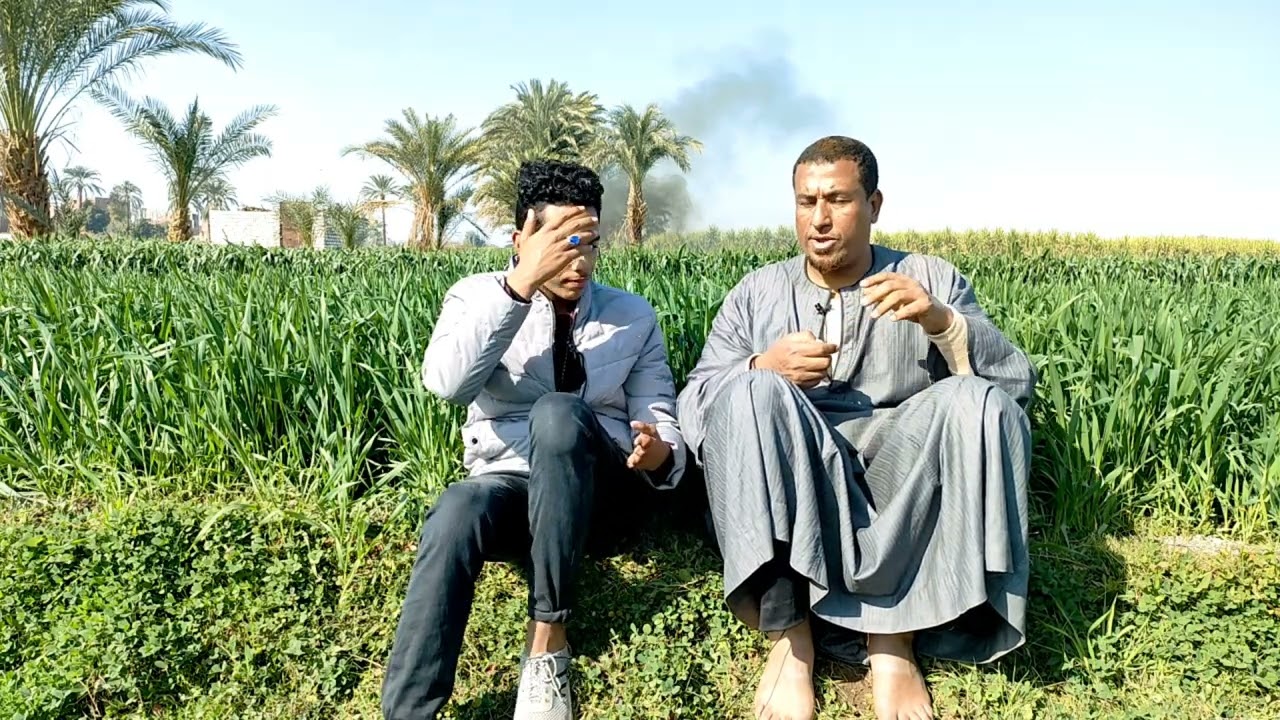 الكلمة دي في الجواذ حتكون سبب حبسك