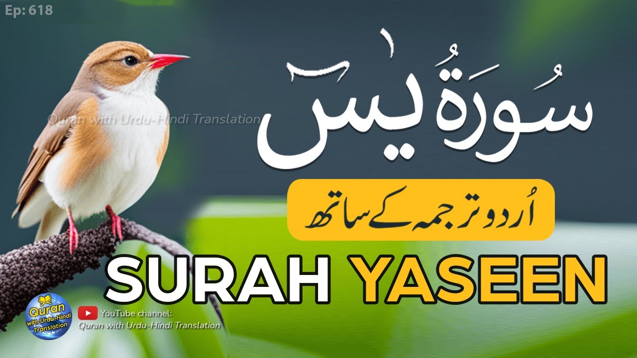 Surah Yaseen with Urdu Translation full | Yasin ki tilawat tarjuma ke sath | Urdu Tarjuma | Ep 618