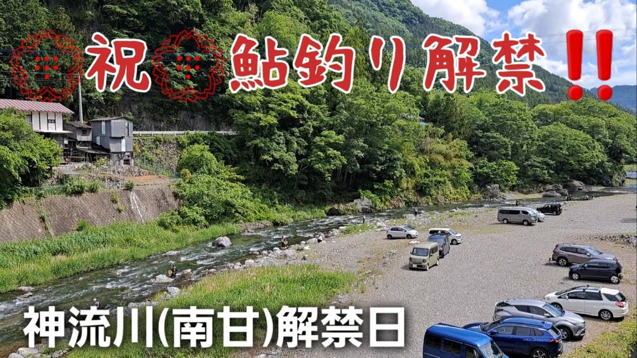 鮎釣り解禁‼️神流川(南甘)解禁日2024 6/1