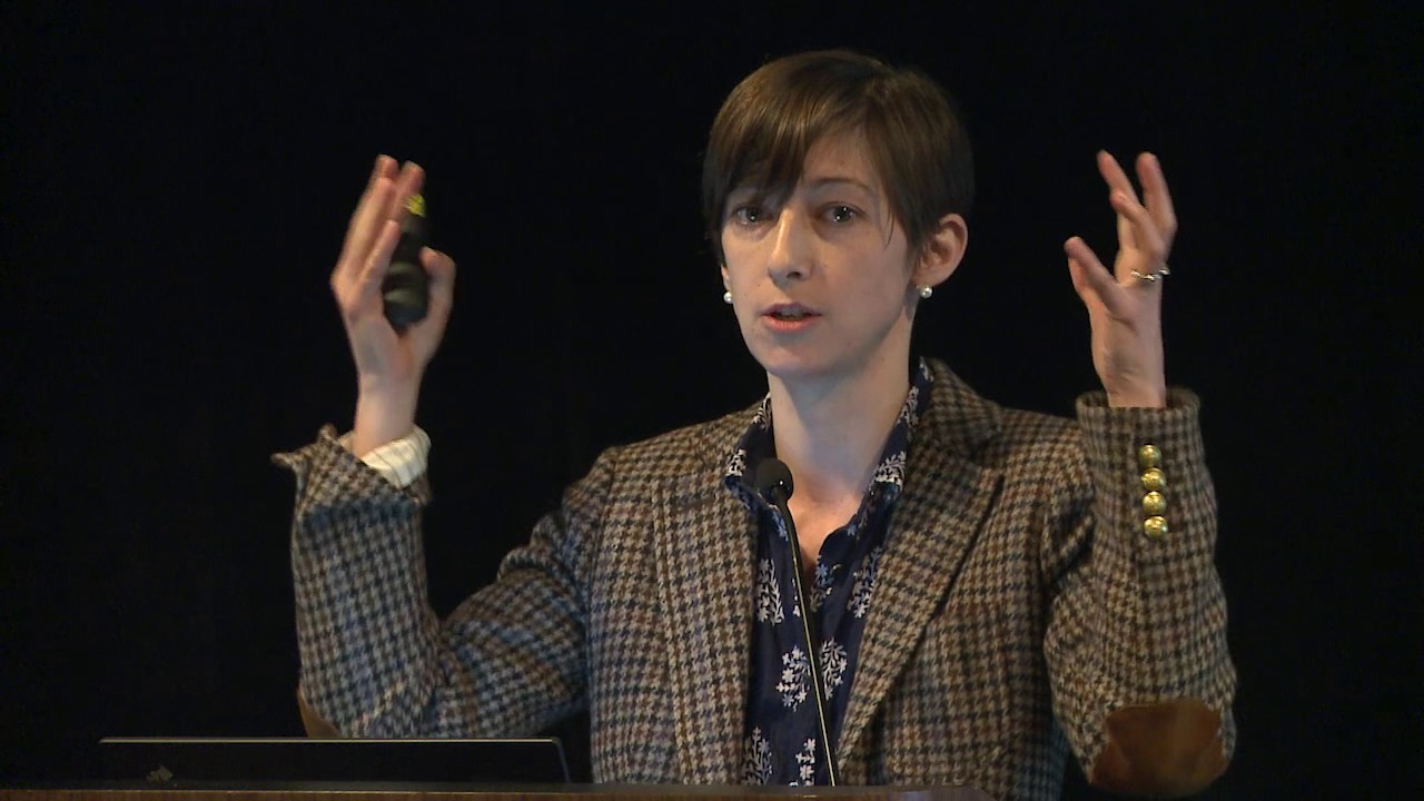 Big Ideas in Cognitive Neuroscience, CNS 2017: Danielle Bassett