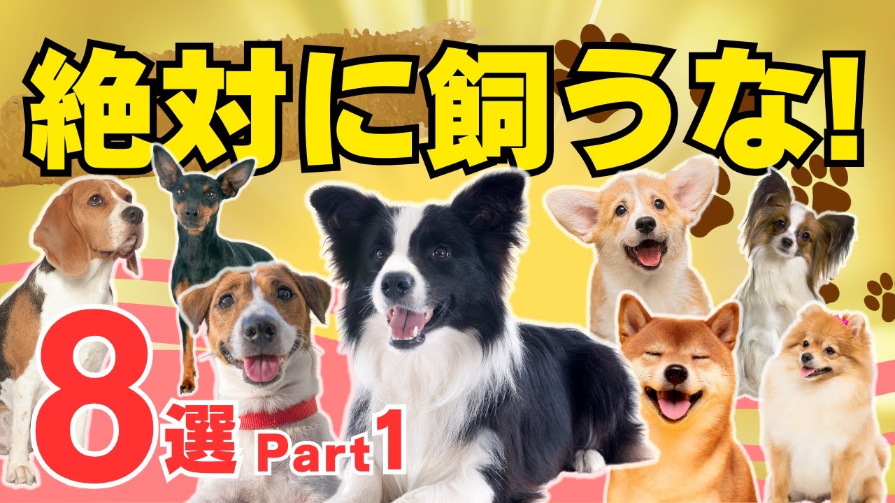 【本当はヤバイ人気犬種 8選 part1】飼いにくくて後悔している理由を解説！