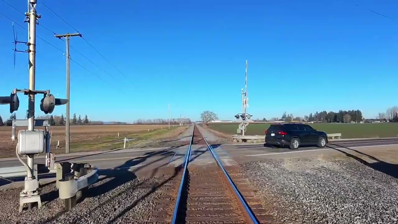 Amtrak and Gulls