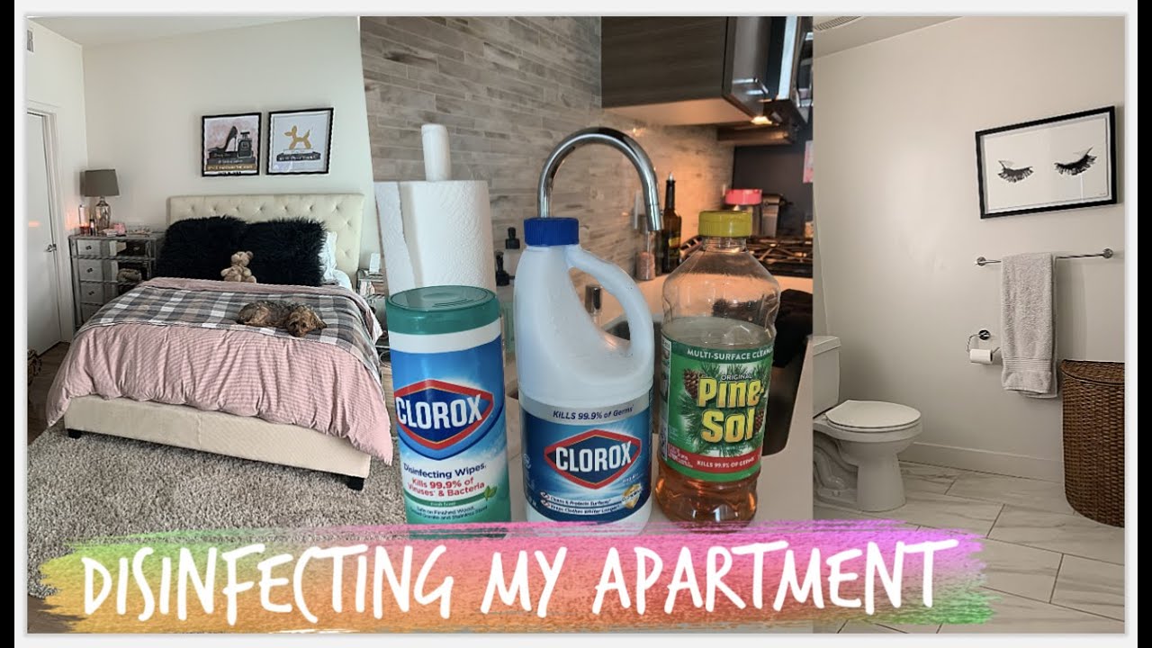 Disinfecting My Studio Apartment