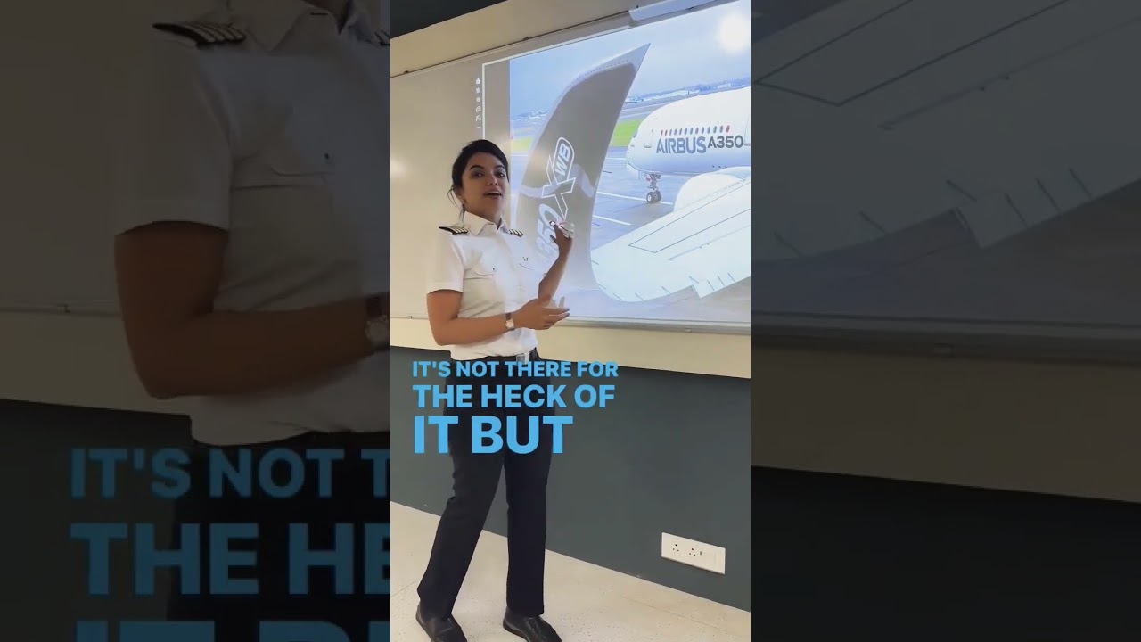 𝐂𝐍𝐓𝐀𝐀.𝐓𝐇𝐄 𝐏𝐈𝐋𝐎𝐓.𝐆𝐑𝐎𝐔𝐍𝐃.𝐒𝐂𝐇𝐎𝐎𝐋
