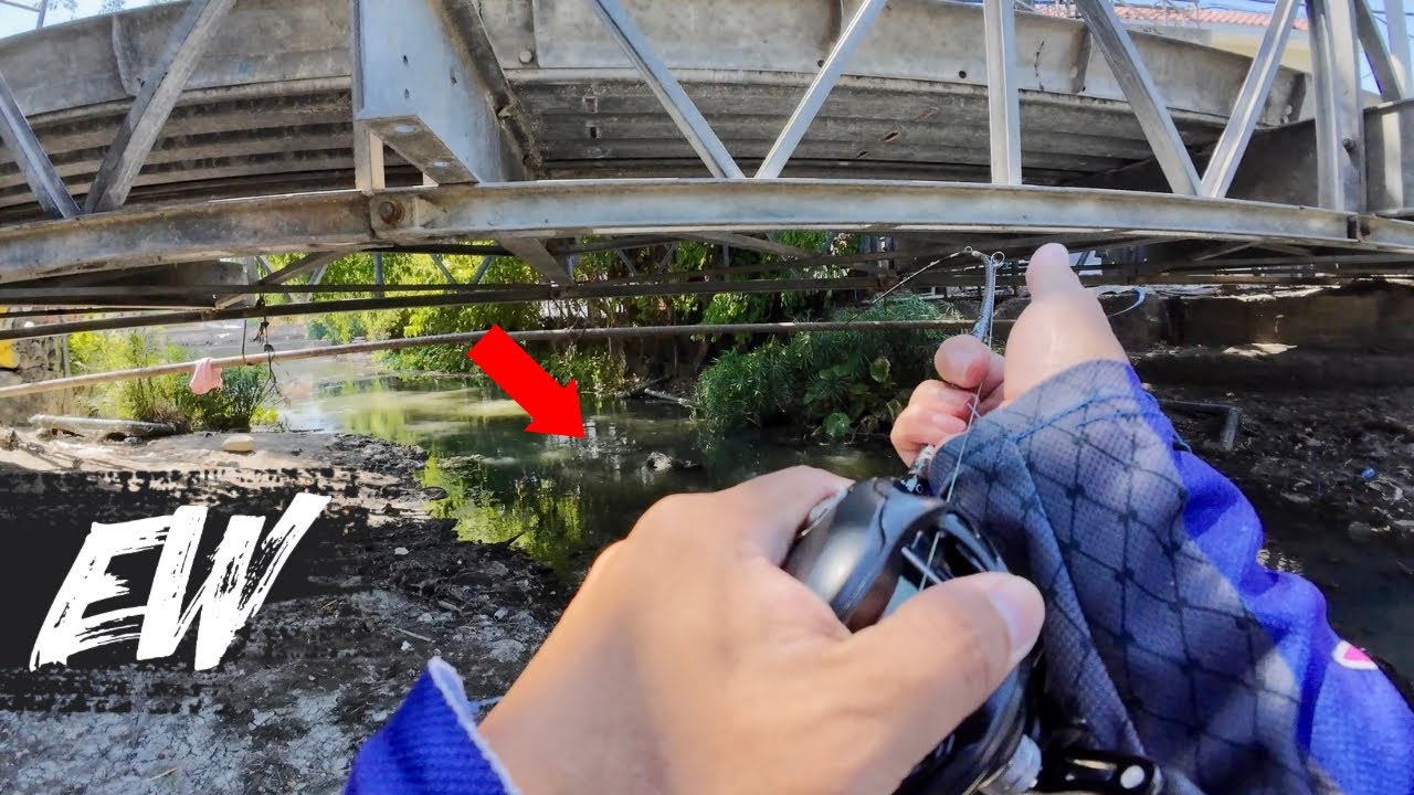 FISHING using BFS Travel Rod | Y4E46