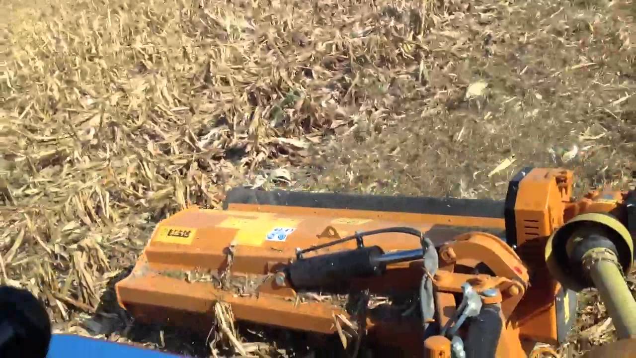 Newholland e Berti