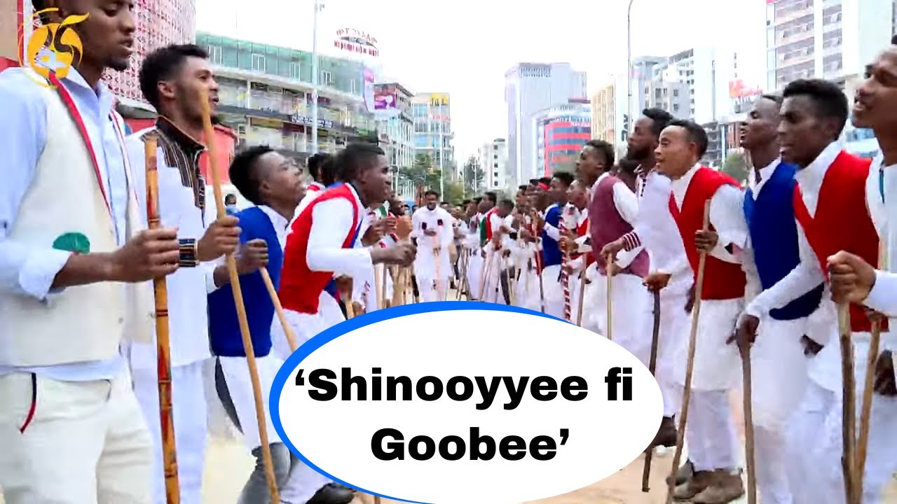 ‘Shinooyyee fi Goobee’