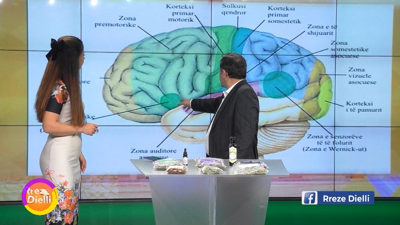 Ylli Merja: Llojet e spektrit autik dhe cila është forma më e lehtë