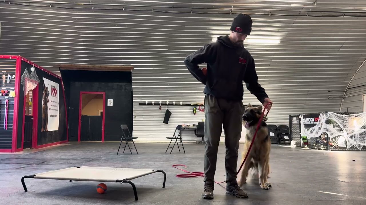 Shadow: Proofing Down and Learning Heel 