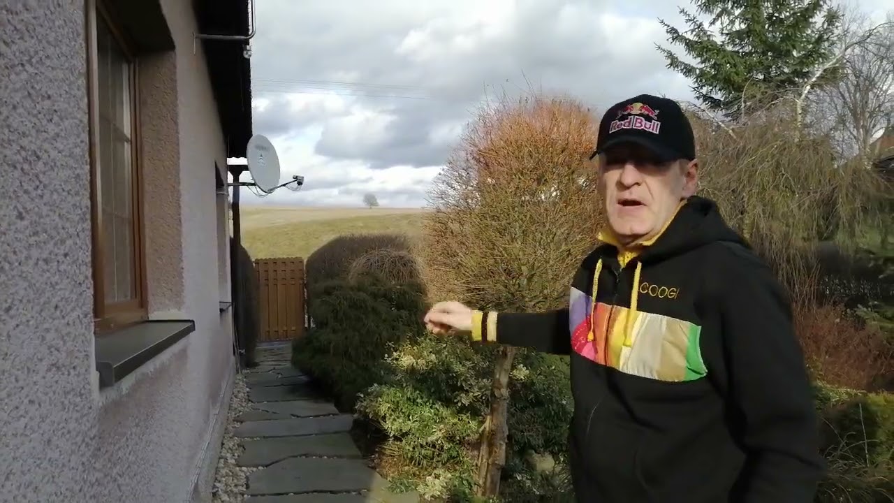 🌴 zásilka od Libor Lešner palmy a cykasy 🌴👌