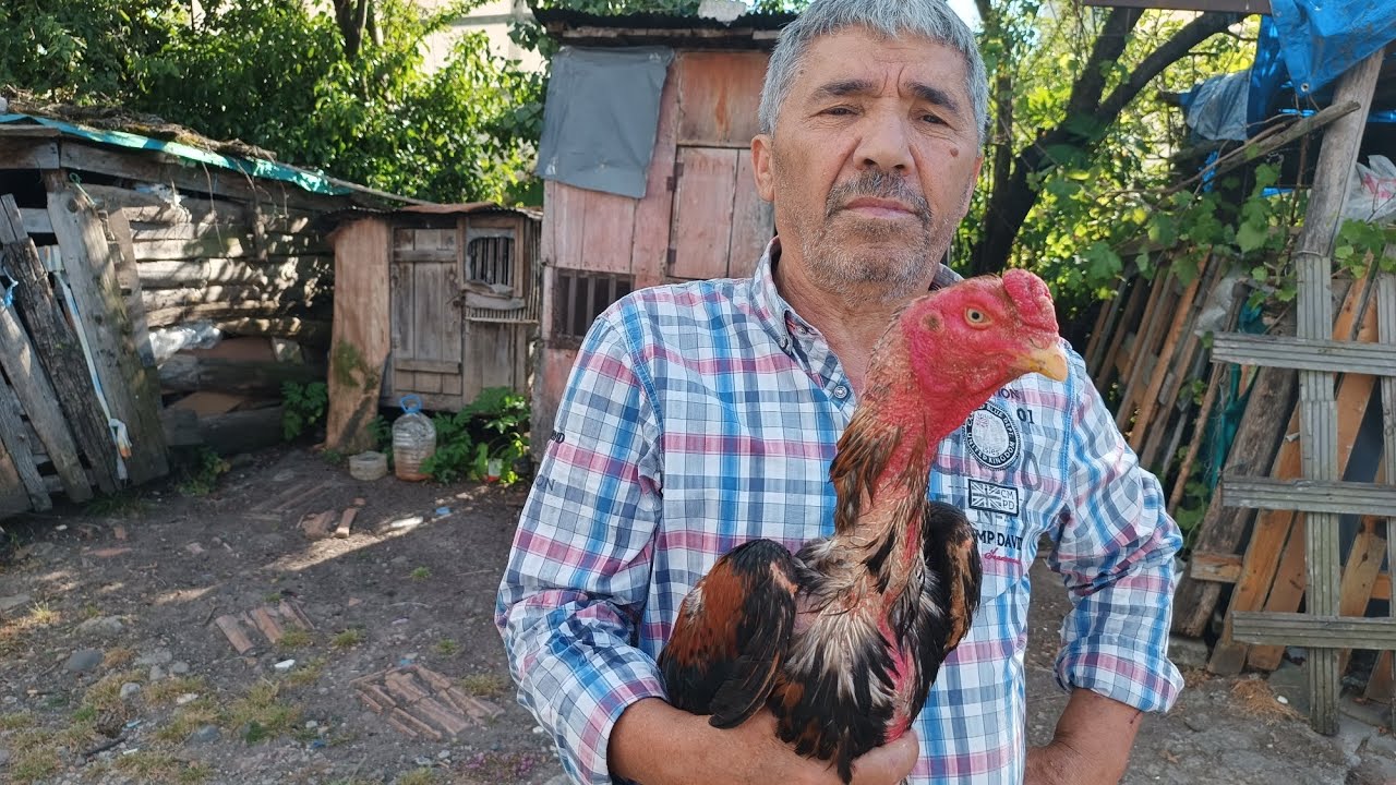 Bugün Fatsa'da Muammer Yıldız'ın Kümesini Ziyaret Ettik.