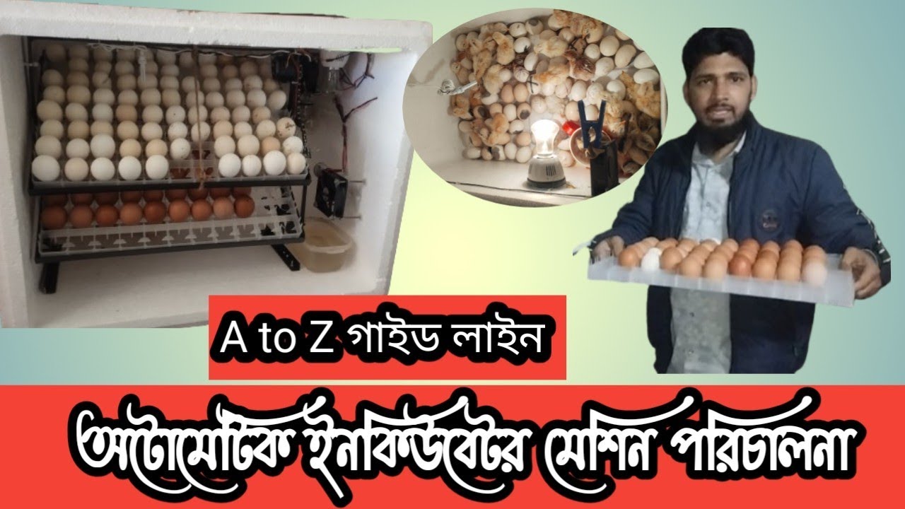 ইনকিউবেটর মেশিন চালানোর গাইড লাইন A to Z 