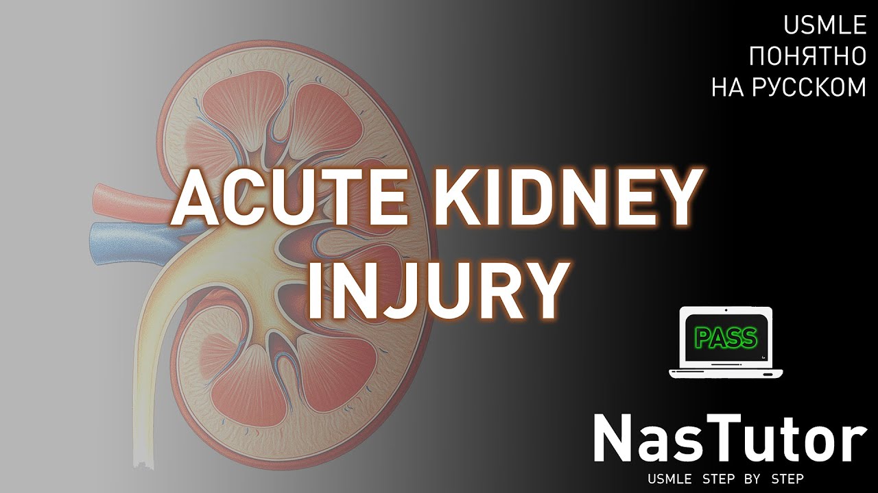 Острое повреждение почек (AKI): типы, патогенез, анализы | USMLE Step 1 и 2 на русском