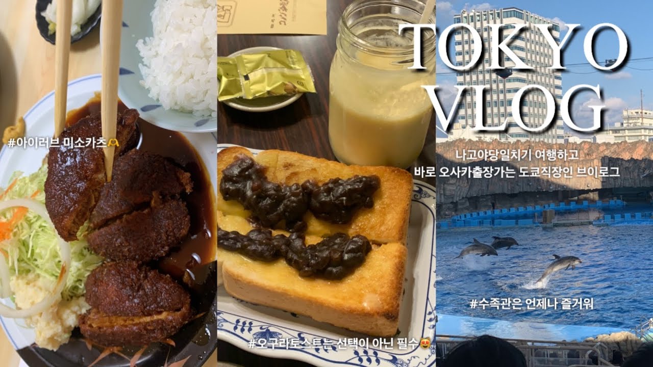 Tokyo Vlog | 나고야 당일치기여행 | 오사카출장 | 나고야항수족관🐠 | 미소카츠&코메다커피 | 오사카 빵집추천 | 도쿄직장일상 | 