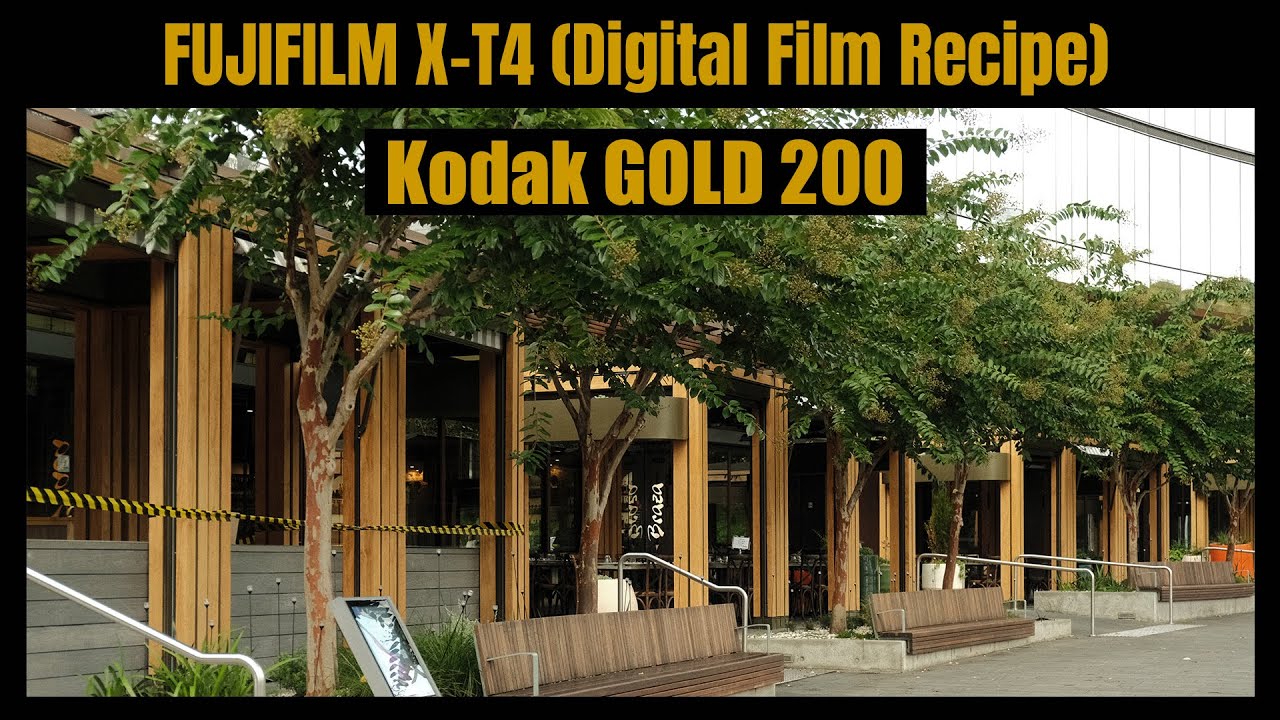 KODAK GOLD 200 Film Simulation Recipe