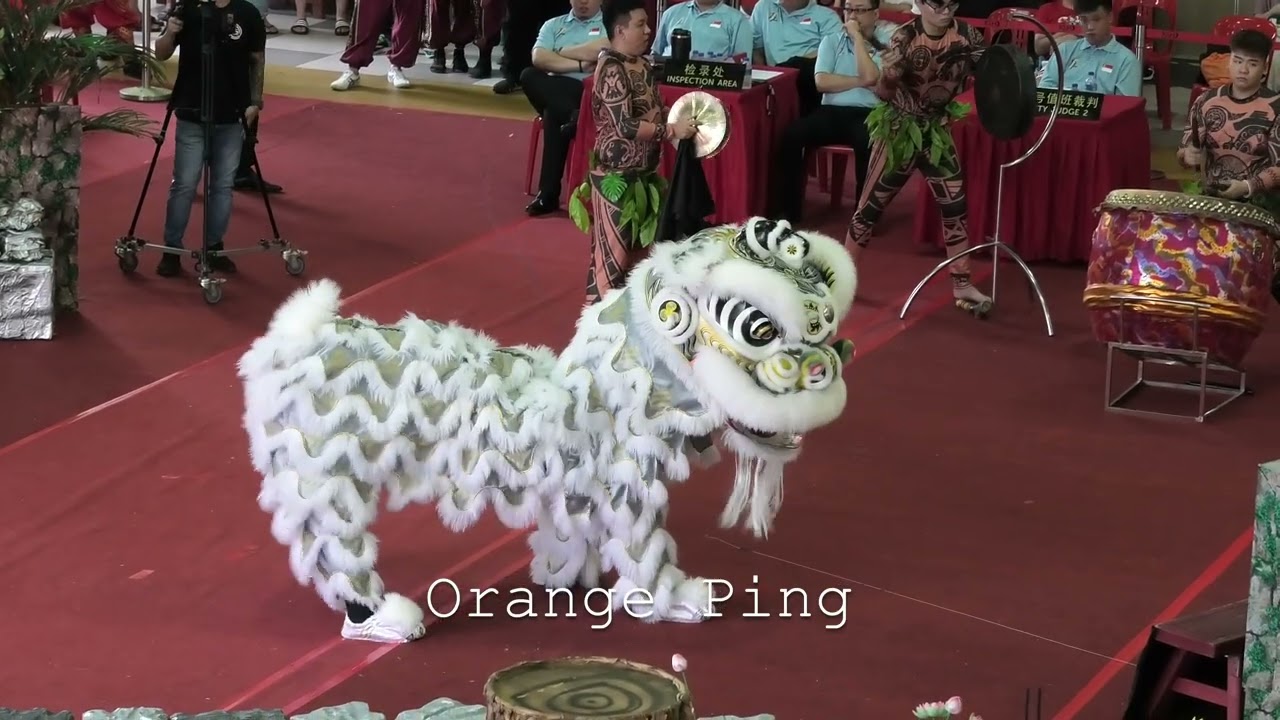 鸿强龙狮团 A队   8 82 Hong Qiang Dragon and Lion Dance Troupe Team A at West Coast CC 27 July 2025