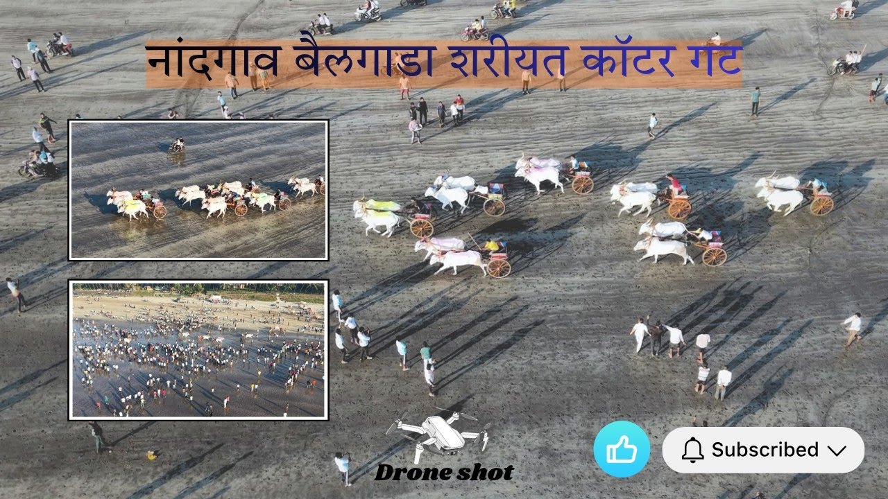 बैलगाडा शरीयत कॉटर गट l 16.01.2026 l Drone shot