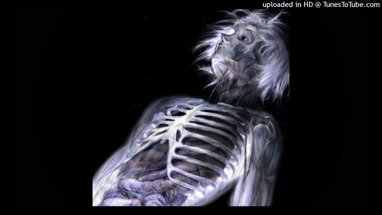 *free* ginseng x che x digicore type beat “human shell”