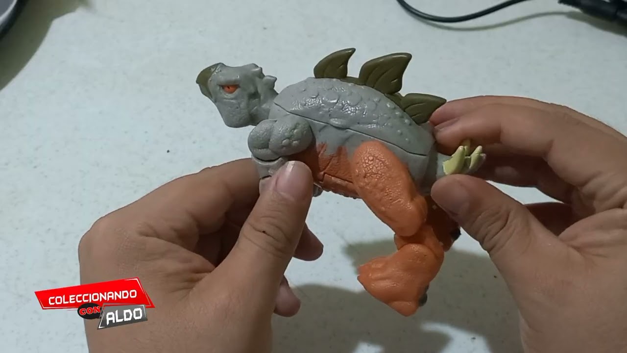Dinotrasformacion