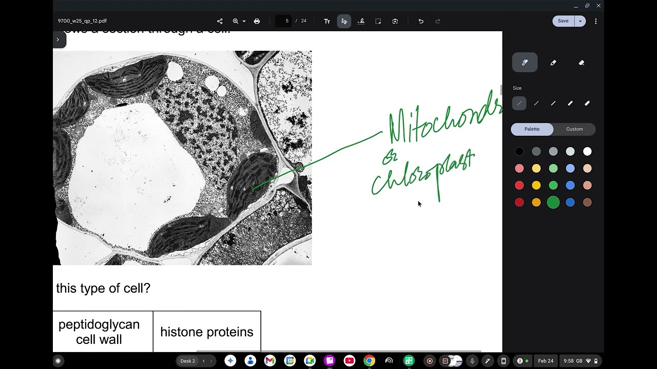 9700 As Biology Paper 12 Oct/Nov 2026 part 1