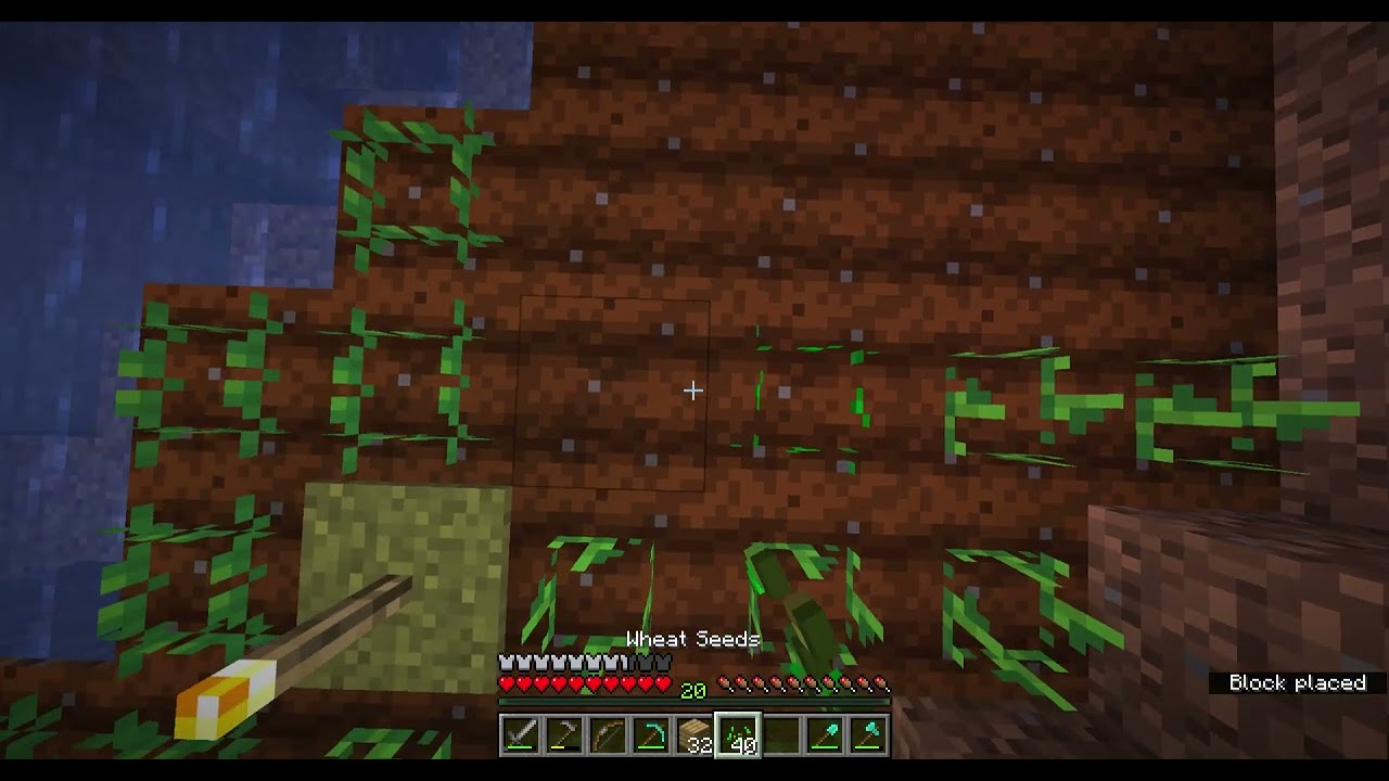 MC with Mom 4 [6] Getting more wood and building windows