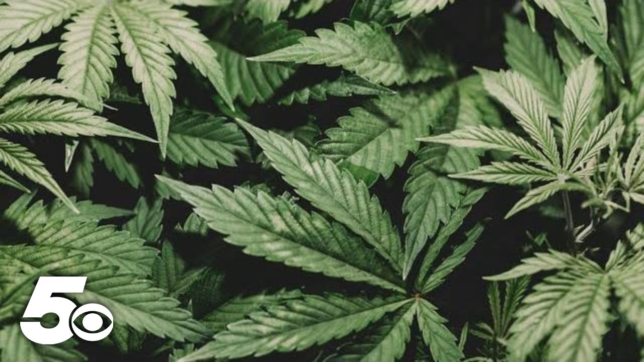 Medical marijuana prices decline in Arkansas