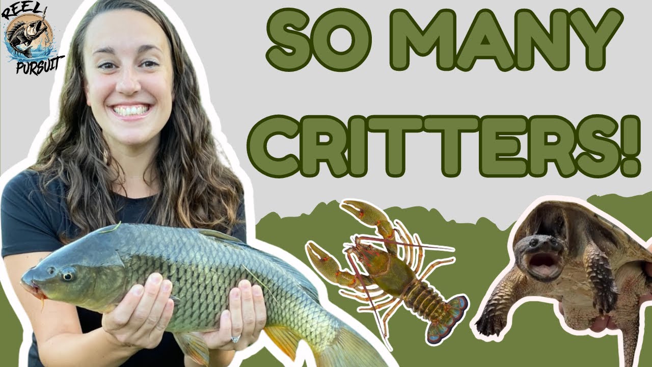 Urban Fishing Adventure! Catching Fish and More at City Pond