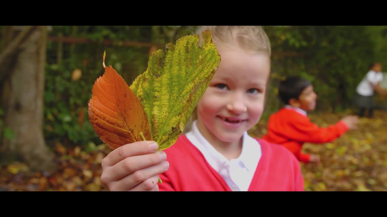 Welcome to Cherry Tree Primary School