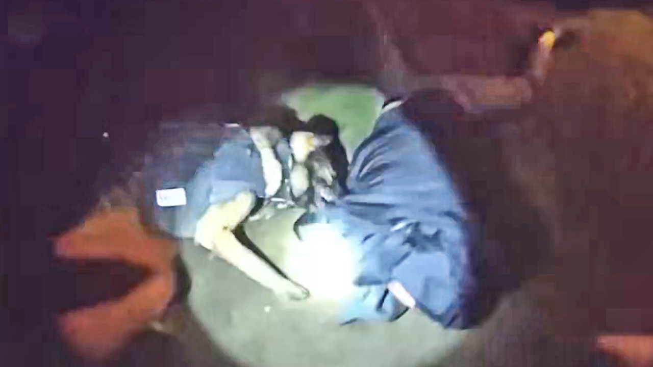 K9 Asher Tracks And Bites Fleeing Suspect After Pursuit