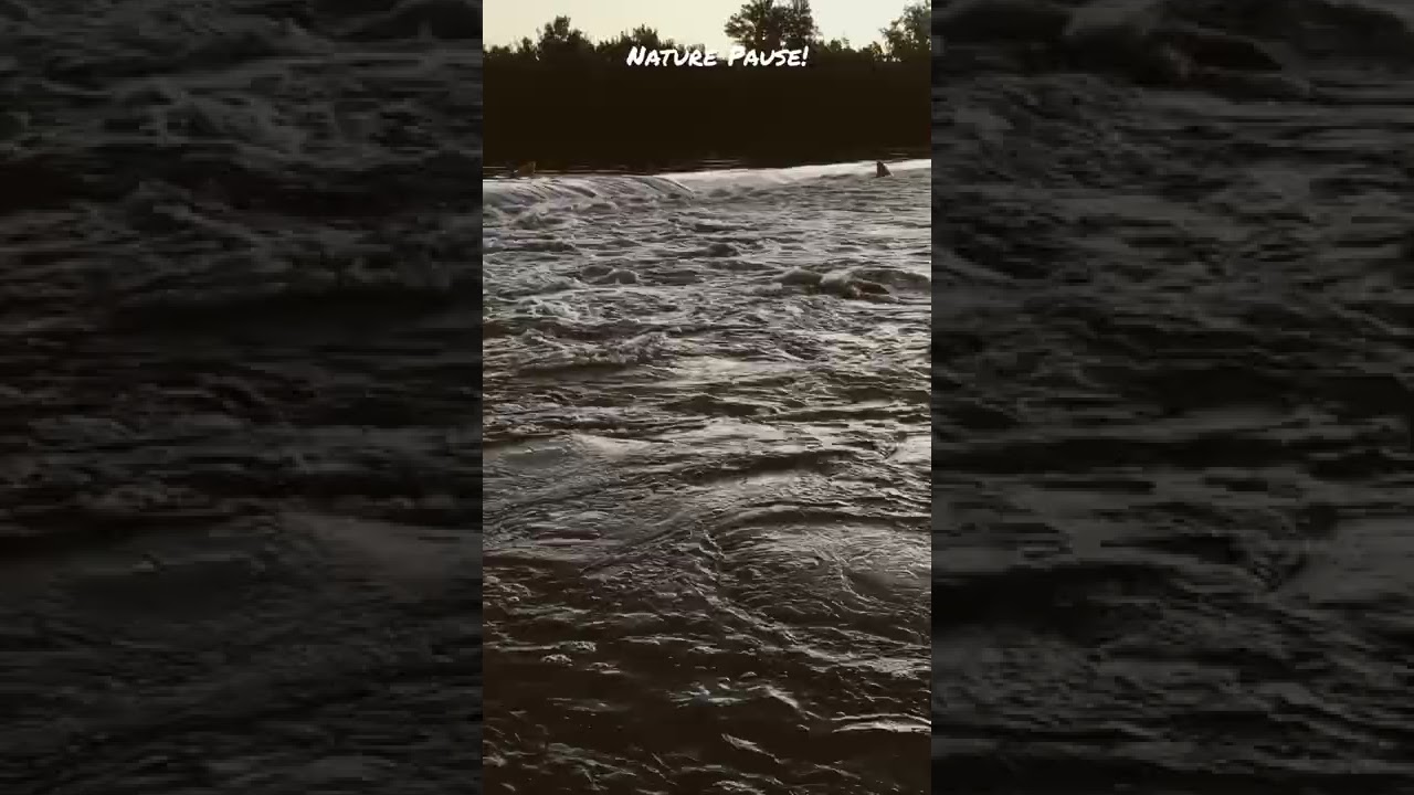 Nature Pause!🌏Watch the flooded Nepean river & listen to the raging water!💦☔️#floods22🌊#shorts❤️