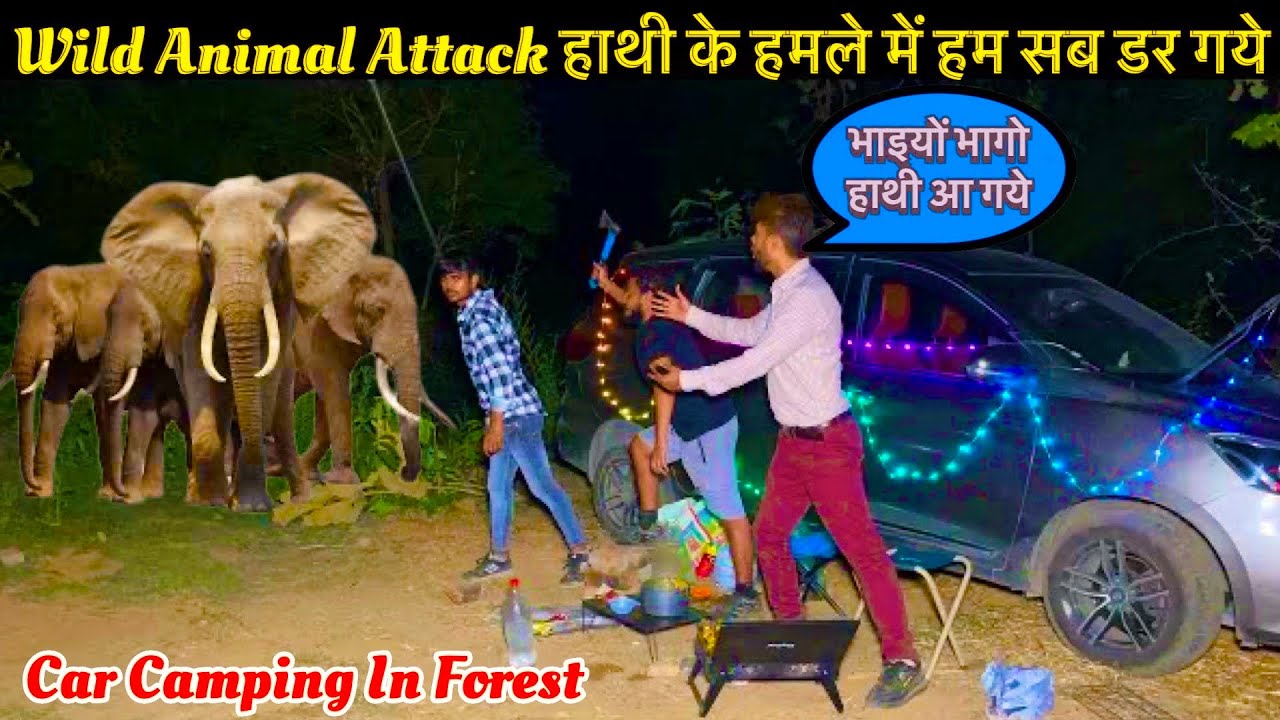 Uttarakhand Adventure Turns Dangerous: Elephant Attack on Car Campers in night #camping #carcamping