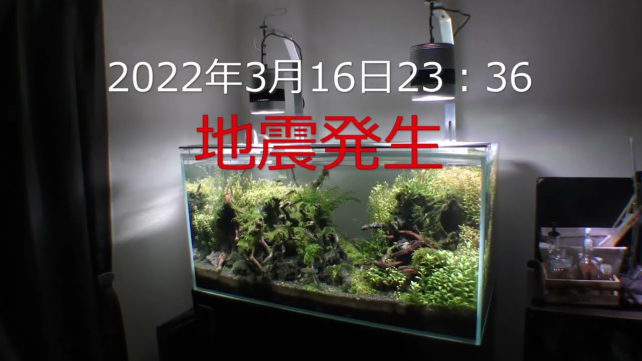 #05 220316_地震発生の瞬間！ 我が家の水槽はどうなった⁉