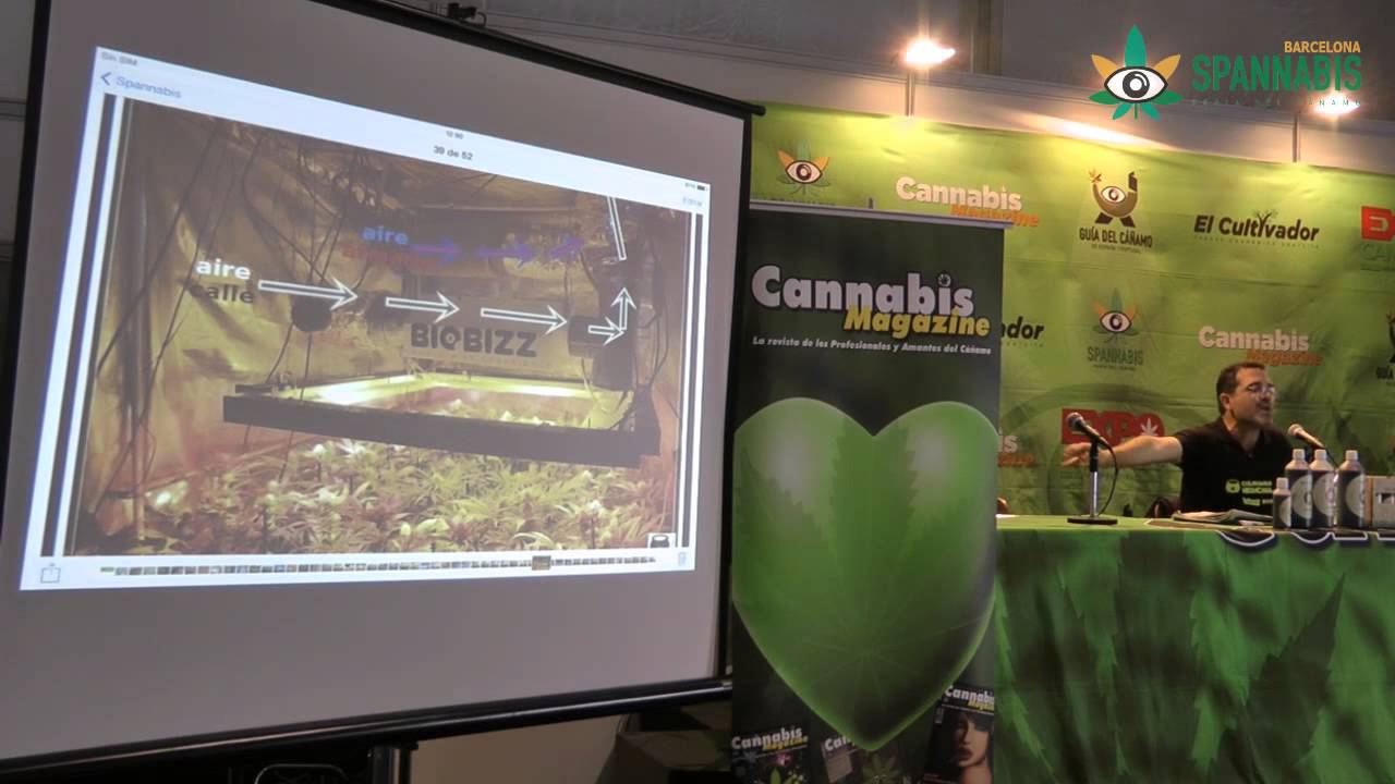 El cultivo orgánico de cannabis - Parte II