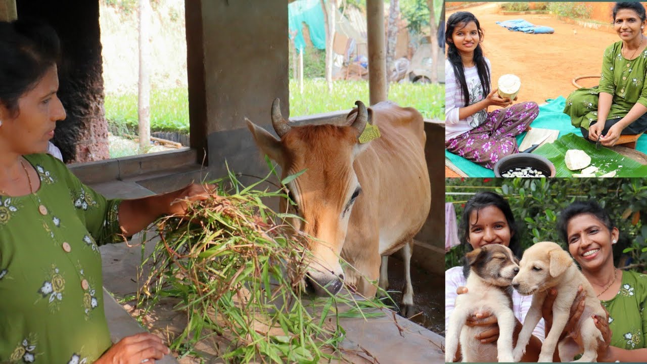 ಗುಜ್ಜೆ ತರಲು ಹತ್ತಿರದ ಮನೆಗೆ ಹೋಗಿದ್ದೇವೆ | ಗುಜ್ಜೆ ಪಲ್ಯ |Tulu Vlog | Kannada vlog