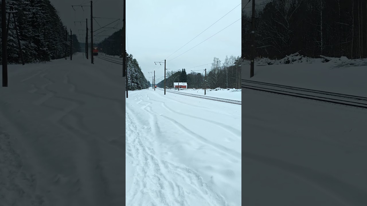 чс4т-371 #train  #поездавидео #railway  #trainspotting  #поезд #rail  #бжд #чс4т #skoda  #чехия