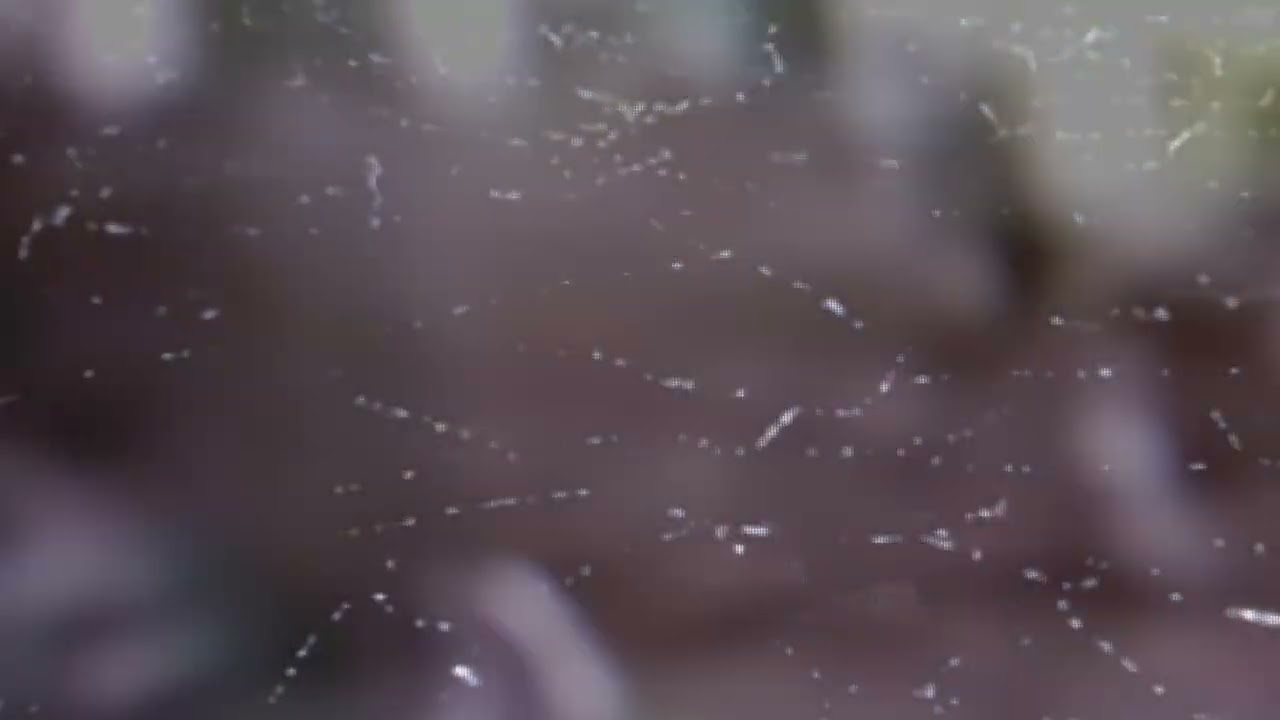 Luna nuova - Andrea Vagnoni