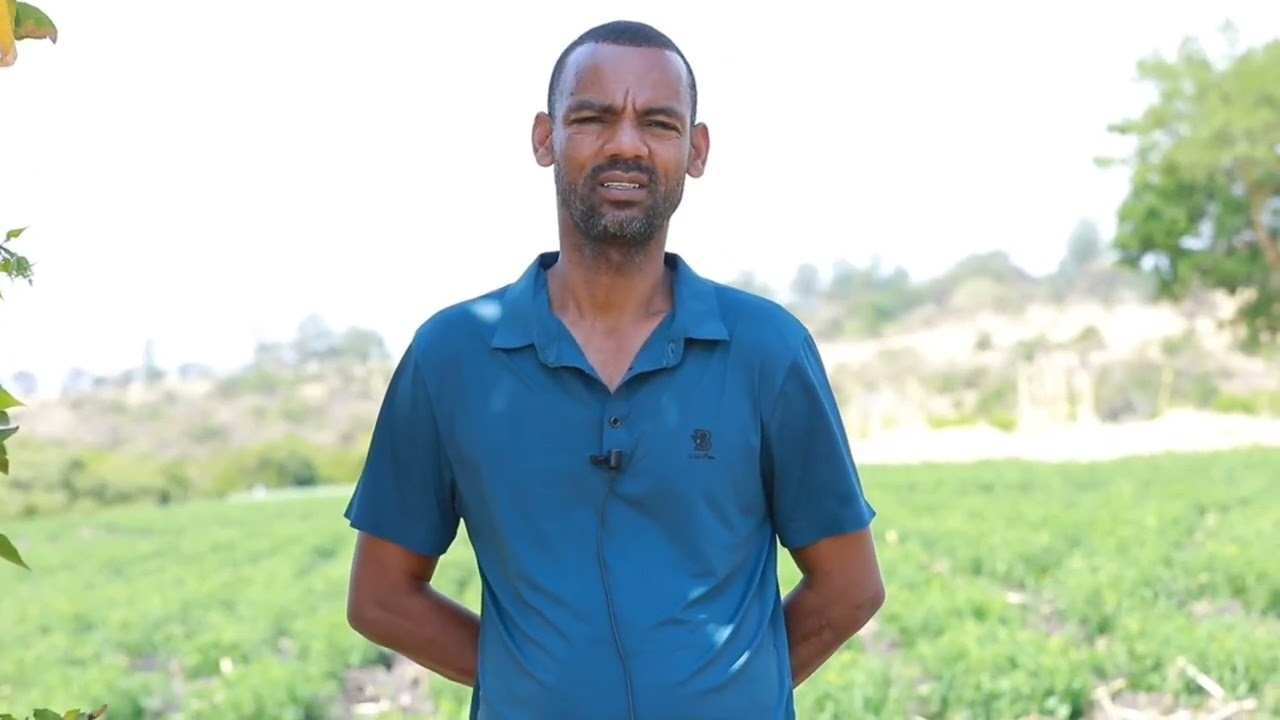 በጉራጌ ዞን አበሽጌ ወረዳ በመኸር ይቾችዮ ቡር ቡር  ሜና 2018 ዓ.ም 