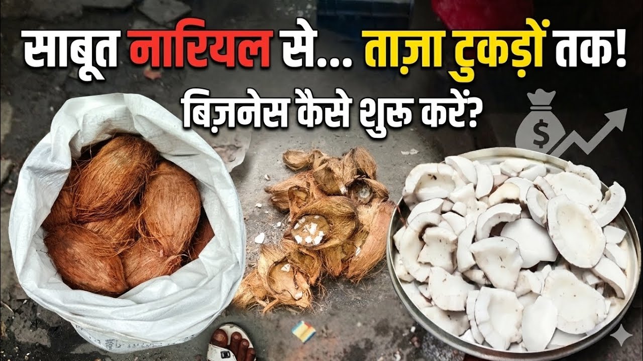 Nariyal se Karen bada Sa business
