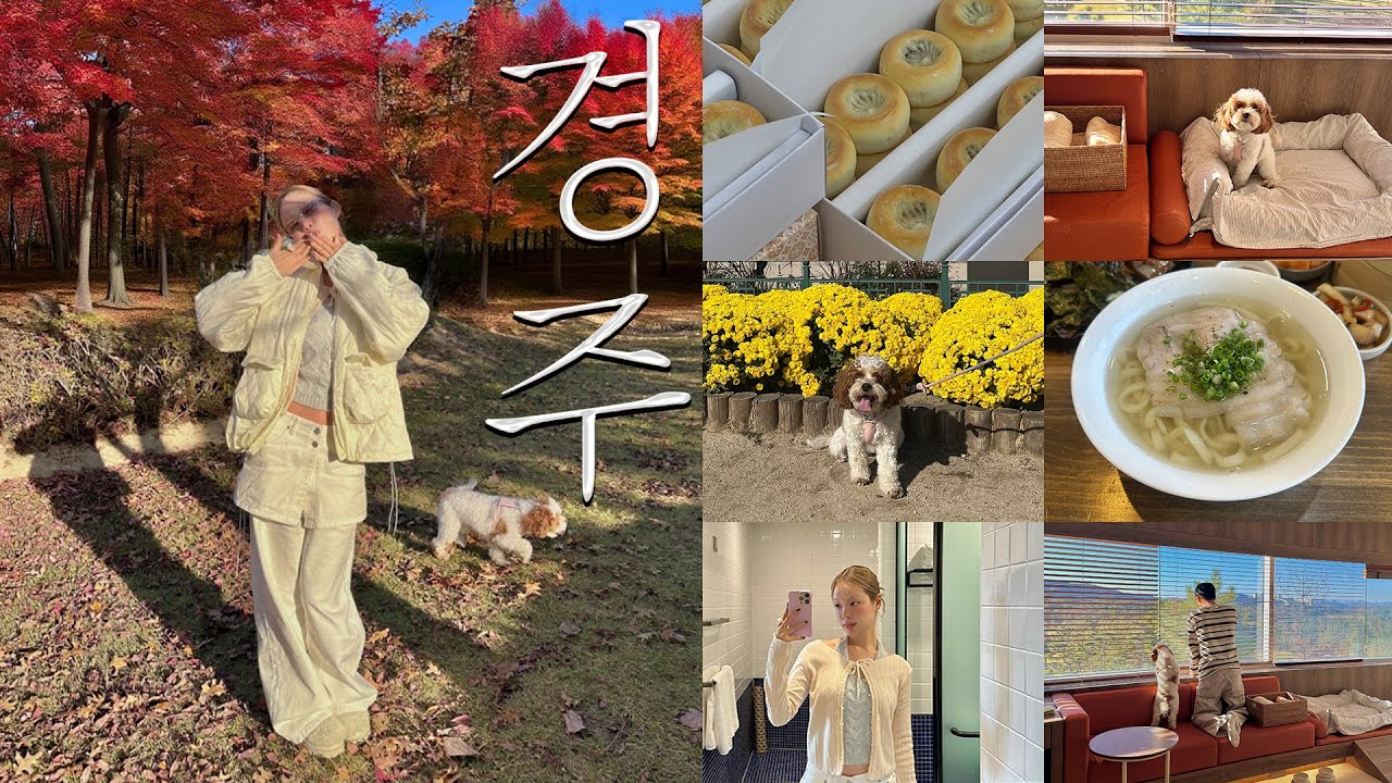 강아지랑 경주 여행 왜 안가요 🐕🫧 너무 좋았던 애견 동반 호텔.. 최고였댜