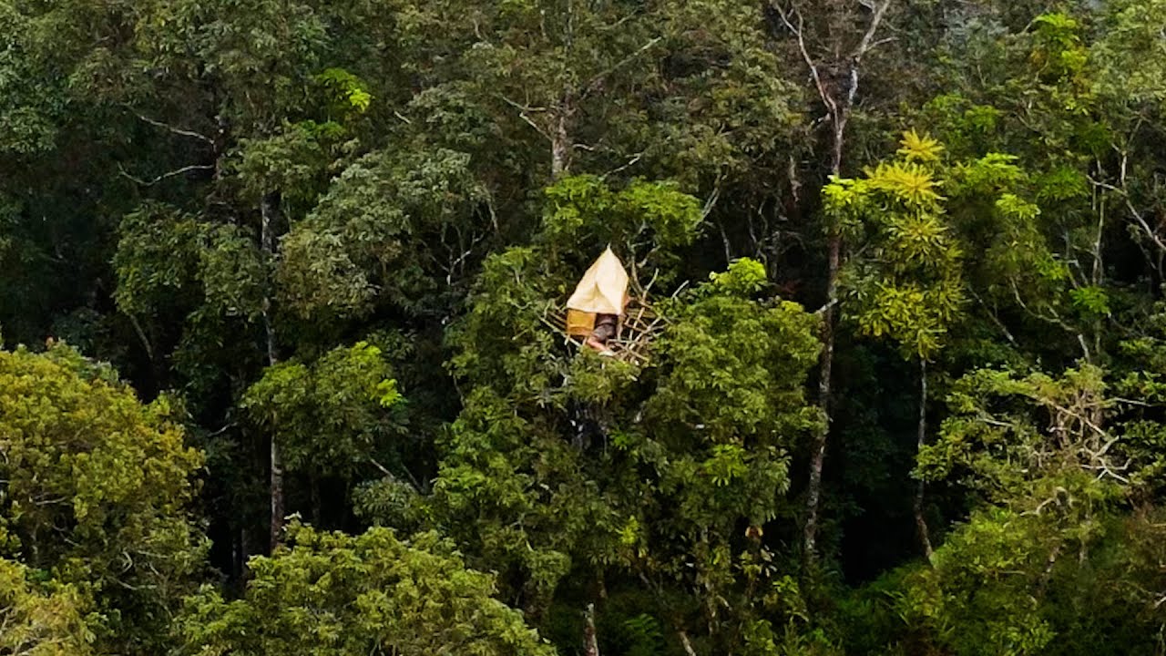 SOLO CAMPING HUJAN DERAS MEMBUAT RUMAH POHON DI HUTAN