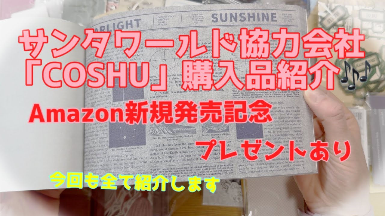 【購入品紹介】サンタワールド協力会社COSHUでの購入品🎶「もりもりランダムボックス」全て紹介します！！