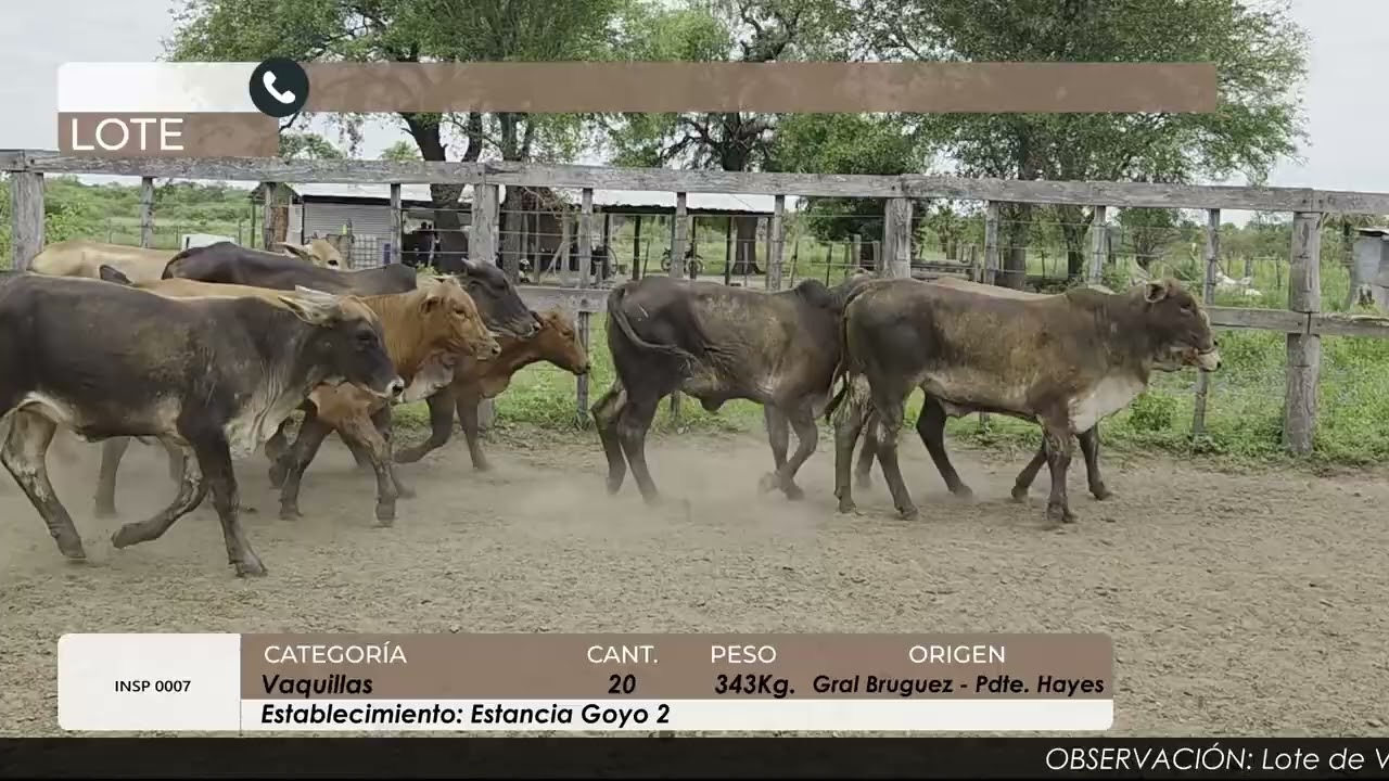 Lote 10 - Estancia Goyo 2